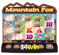14win - Plataforma Oficial - 14win.com