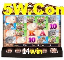 14win bet